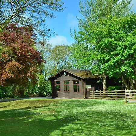 37 Trevithick Court, Tolroy Manor Vila Hayle Exterior foto